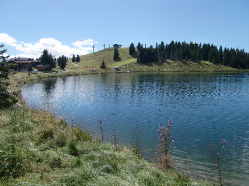 bild(61)